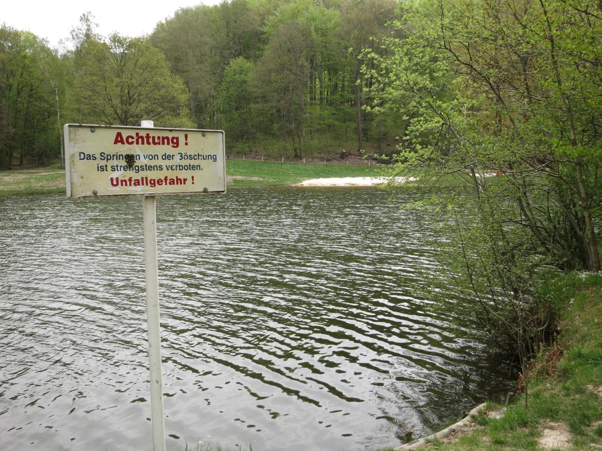 Bungalow Am Osterteich Gernrode  Экстерьер фото